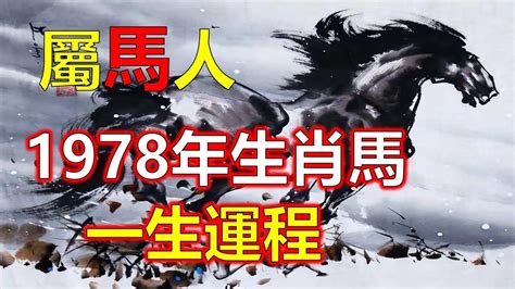 1978馬五行|五行揭秘：78年馬人財運